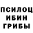 Псилоцибиновые грибы Psilocybe Tuco _64