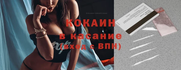 сатива Верхний Тагил