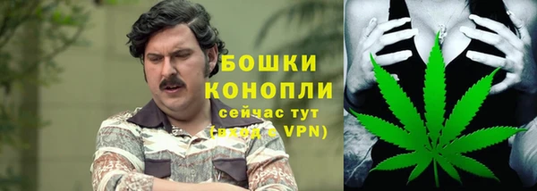 сатива Верхний Тагил